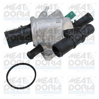 Thermostat, coolant